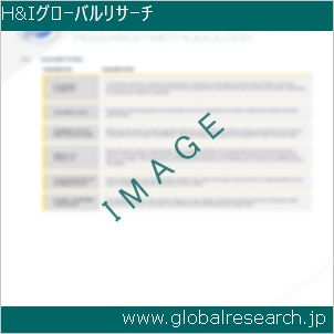 グローバルリサーチ調査レポートのイメージ